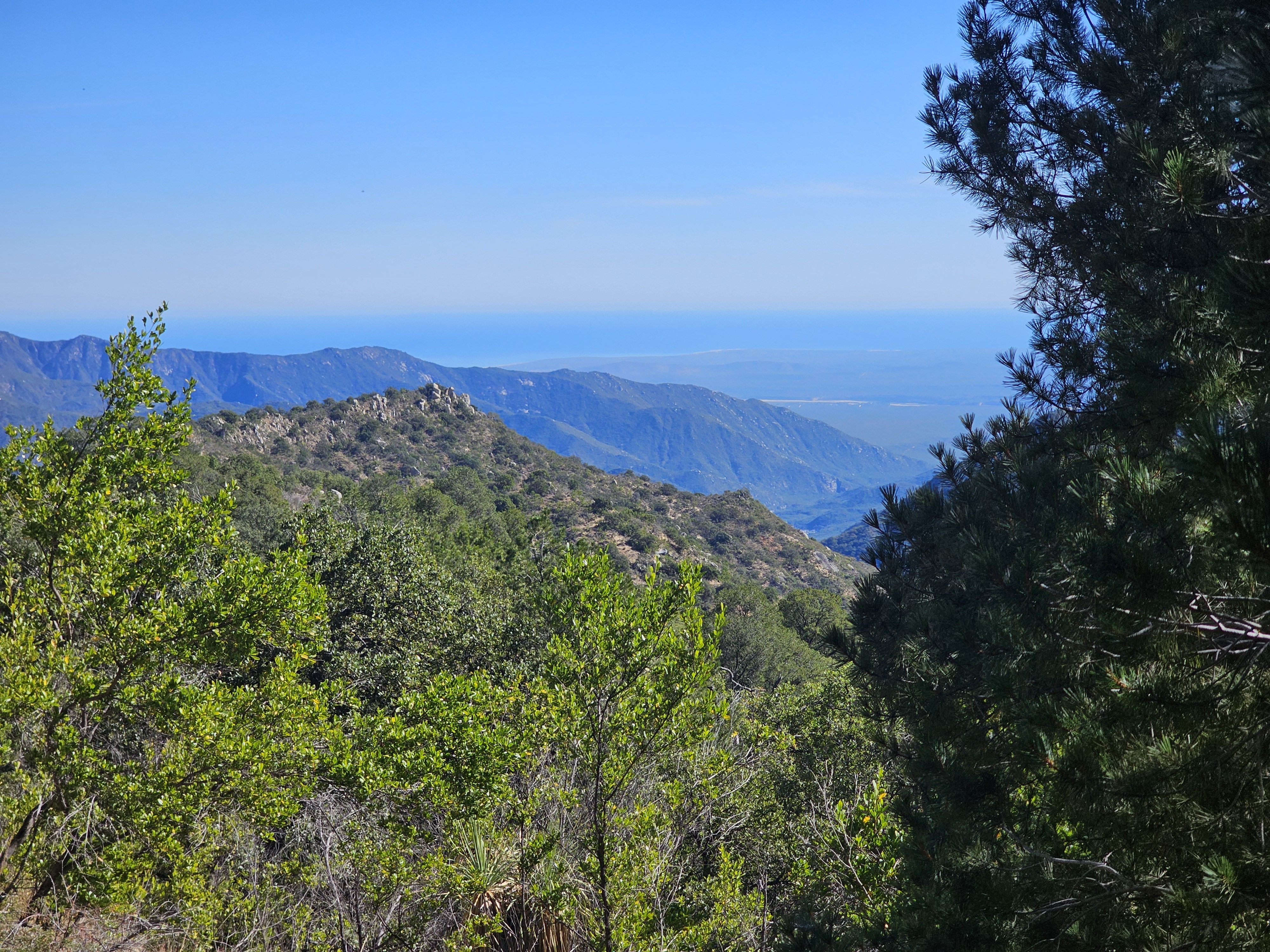 Sierra Laguna Biosfera